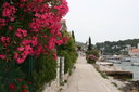 gal/cro 08/_thb_small-IMG_4566.JPG